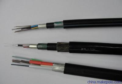 专业解析 12芯中心束管光缆与铠装GYTA光缆的价格、应用及厂商选择