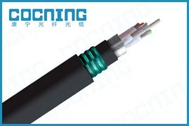 康宁GYTA53光缆高清细节图解 深入解析结构与特性