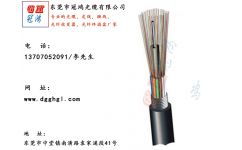 光缆产业链中的区域优势 广东生产与赣州批发的协同发展